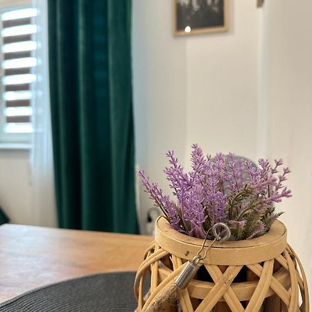 Apartament Zielony Kollataja Tomaszów Mazowiecki Екстериор снимка