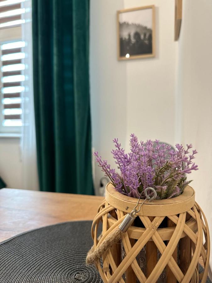 Apartament Zielony Kollataja Tomaszów Mazowiecki Екстериор снимка